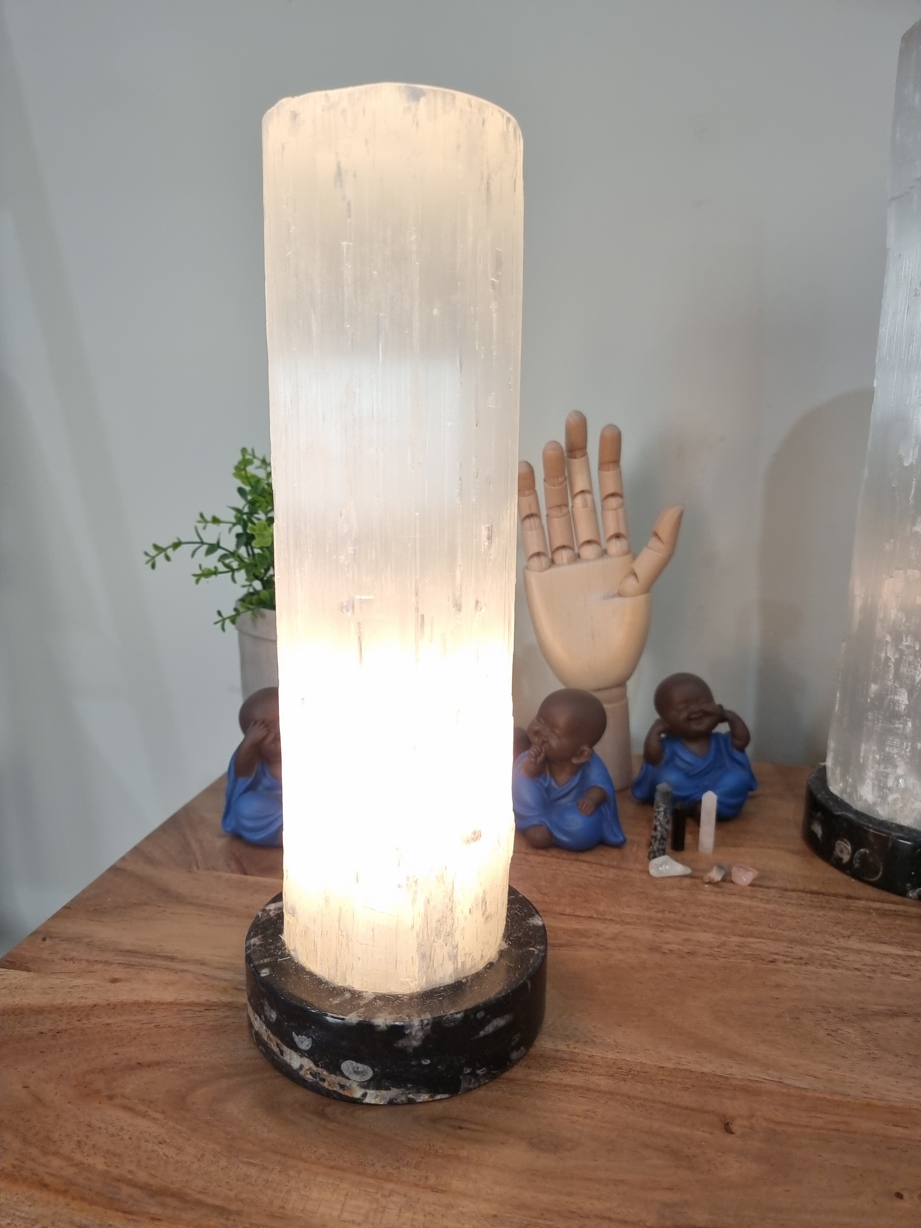 Selenite Lamp with Ancient Fossil Orthoceras Base 30cm