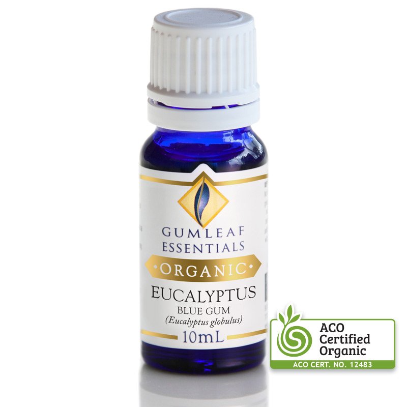 Organic Eucalyptus Blue Gum Essential Oil